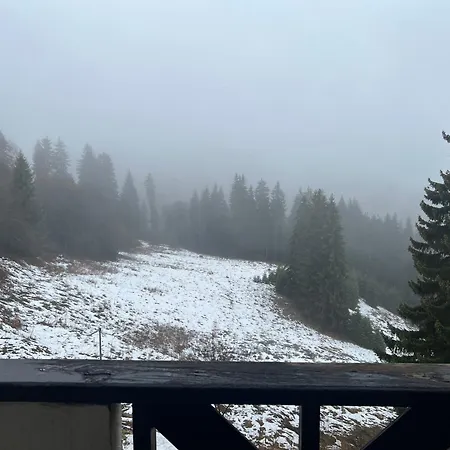 Snejanka 3*